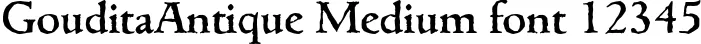 Dynamic GouditaAntique Medium Font Preview https://safirsoft.com