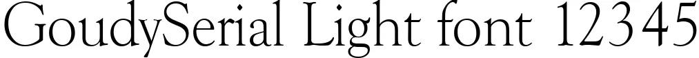 Dynamic GoudySerial Light Font Preview https://safirsoft.com