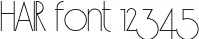 Dynamic HAIR Font Preview https://safirsoft.com