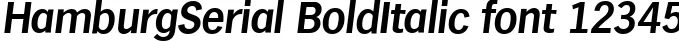 Dynamic HamburgSerial BoldItalic Font Preview https://safirsoft.com