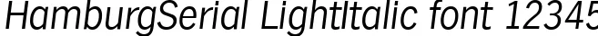 Dynamic HamburgSerial LightItalic Font Preview https://safirsoft.com