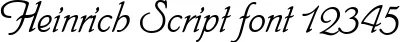 Dynamic Heinrich Script Font Preview https://safirsoft.com