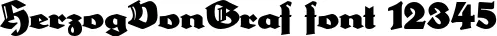 Dynamic HerzogVonGraf Font Preview https://safirsoft.com