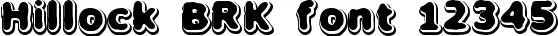 Dynamic Hillock BRK Font Preview https://safirsoft.com