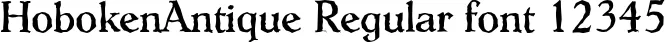 Dynamic HobokenAntique Regular Font Preview https://safirsoft.com