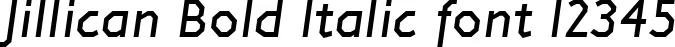 Dynamic Jillican Bold Italic Font Preview https://safirsoft.com