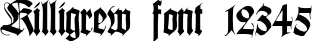 Dynamic Killigrew Font Preview https://safirsoft.com