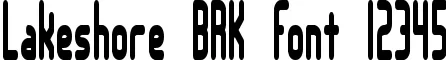 Dynamic Lakeshore BRK Font Preview https://safirsoft.com