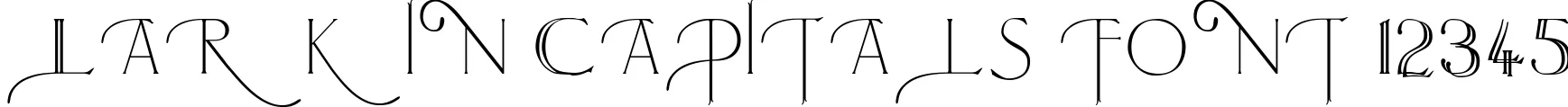 Dynamic Larkin Capitals Font Preview https://safirsoft.com