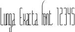 Dynamic Lunga Exacta Font Preview https://safirsoft.com