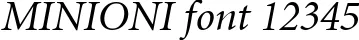 Dynamic MINIONI Font Preview https://safirsoft.com