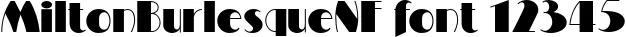 Dynamic MiltonBurlesqueNF Font Preview https://safirsoft.com