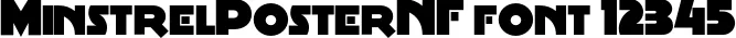 Dynamic MinstrelPosterNF Font Preview https://safirsoft.com