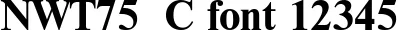 Dynamic NWT75  C Font Preview https://safirsoft.com