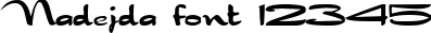 Dynamic Nadejda Font Preview https://safirsoft.com