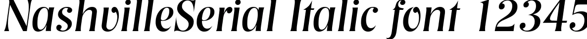 Dynamic NashvilleSerial Italic Font Preview https://safirsoft.com
