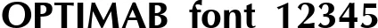 Dynamic OPTIMAB Font Preview https://safirsoft.com