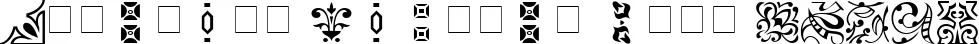 Dynamic Ornament Regular Font Preview https://safirsoft.com