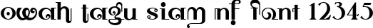 Dynamic Owah Tagu Siam NF Font Preview https://safirsoft.com