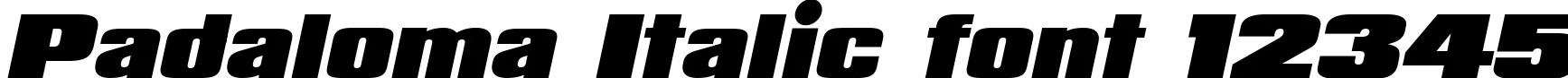 Dynamic Padaloma Italic Font Preview https://safirsoft.com