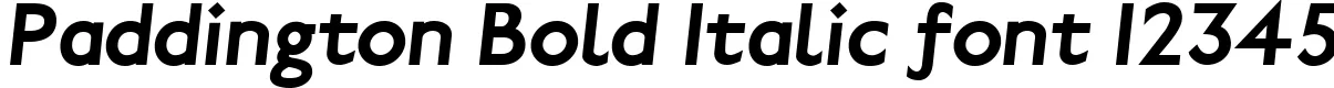 Dynamic Paddington Bold Italic Font Preview https://safirsoft.com
