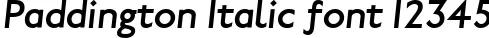 Dynamic Paddington Italic Font Preview https://safirsoft.com