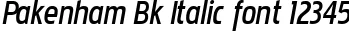 Dynamic Pakenham Bk Italic Font Preview https://safirsoft.com