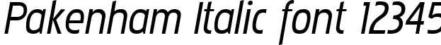 Dynamic Pakenham Italic Font Preview https://safirsoft.com