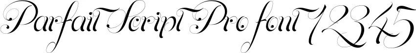 Dynamic Parfait Script Pro Font Preview https://safirsoft.com
