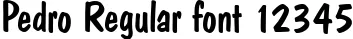 Dynamic Pedro Regular Font Preview https://safirsoft.com