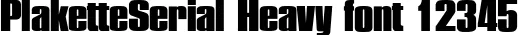 Dynamic PlaketteSerial Heavy Font Preview https://safirsoft.com