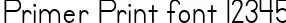 Dynamic Primer Print Font Preview https://safirsoft.com