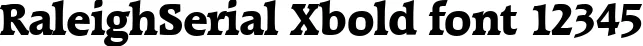 Dynamic RaleighSerial Xbold Font Preview https://safirsoft.com