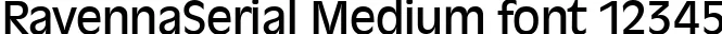 Dynamic RavennaSerial Medium Font Preview https://safirsoft.com