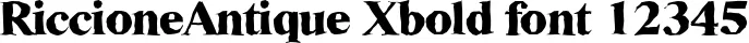 Dynamic RiccioneAntique Xbold Font Preview https://safirsoft.com