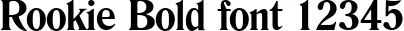 Dynamic Rookie Bold Font Preview https://safirsoft.com