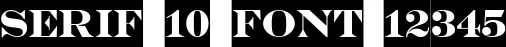 Dynamic SERIF 10 Font Preview https://safirsoft.com