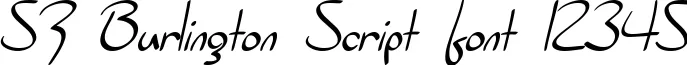 Dynamic SF Burlington Script Font Preview https://safirsoft.com
