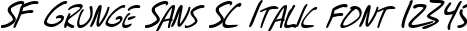 Dynamic SF Grunge Sans SC Italic Font Preview https://safirsoft.com