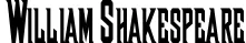 Dynamic SHAXIZOR Font Preview https://safirsoft.com