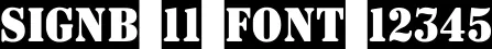 Dynamic SIGNB 11 Font Preview https://safirsoft.com