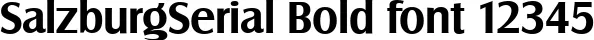 Dynamic SalzburgSerial Bold Font Preview https://safirsoft.com