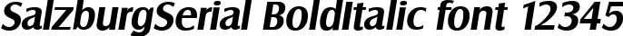 Dynamic SalzburgSerial BoldItalic Font Preview https://safirsoft.com