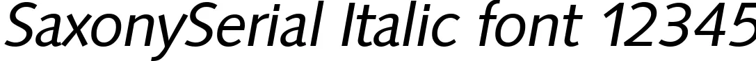Dynamic SaxonySerial Italic Font Preview https://safirsoft.com