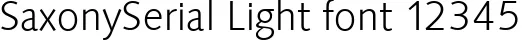 Dynamic SaxonySerial Light Font Preview https://safirsoft.com