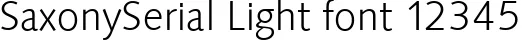 Dynamic SaxonySerial Light Font Preview https://safirsoft.com