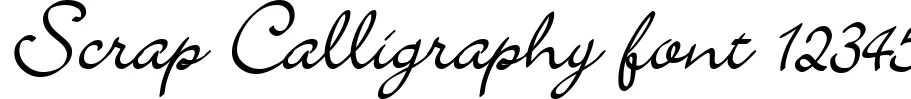 Dynamic Scrap Calligraphy Font Preview https://safirsoft.com
