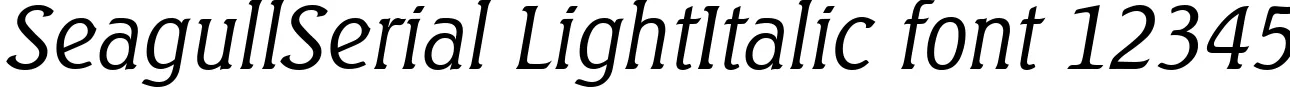 Dynamic SeagullSerial LightItalic Font Preview https://safirsoft.com