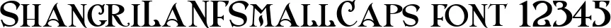 Dynamic ShangriLaNFSmallCaps Font Preview https://safirsoft.com