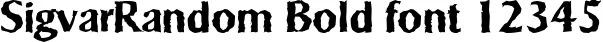 Dynamic SigvarRandom Bold Font Preview https://safirsoft.com